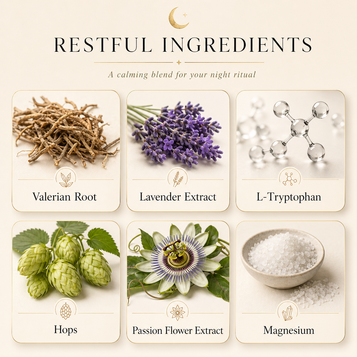 Illustration of restful ingredients for a night ritual including Valerian Root, Lavender Extract, L-Tryptophan, Hops, Passion Flower Extract, and Magnesium.