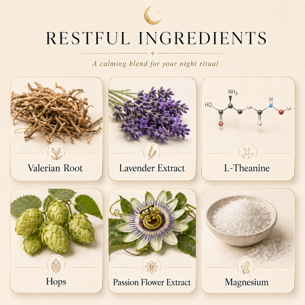 Six ingredients in Nyla Rest Sleep Patches: Valerian Root, Lavender, L-Theanine, Hops, Passion Flower and Magnesium